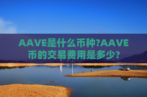 AAVE是什么币种?AAVE币的交易费用是多少?