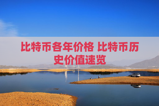 比特币各年价格 比特币历史价值速览
