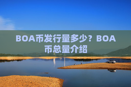 BOA币发行量多少？BOA币总量介绍
