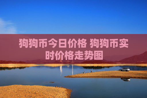 狗狗币今日价格 狗狗币实时价格走势图
