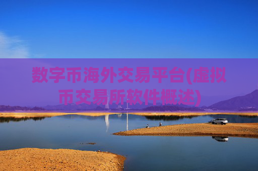 数字币海外交易平台(虚拟币交易所软件概述)