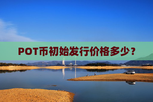 POT币初始发行价格多少？
