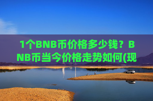 1个BNB币价格多少钱？BNB币当今价格走势如何(现价4869.74元)