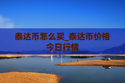 泰达币怎么买_泰达币价格今日行情