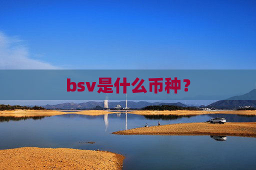 bsv是什么币种？