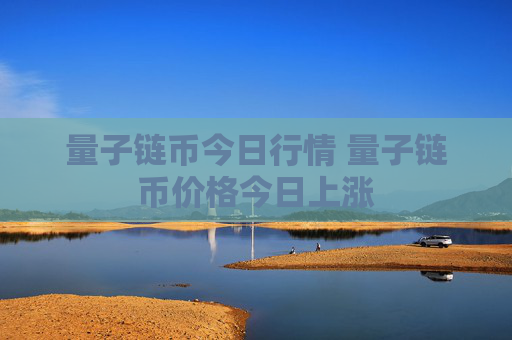 量子链币今日行情 量子链币价格今日上涨
