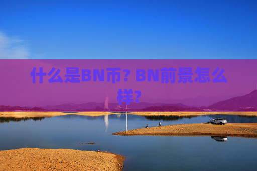 什么是BN币? BN前景怎么样?