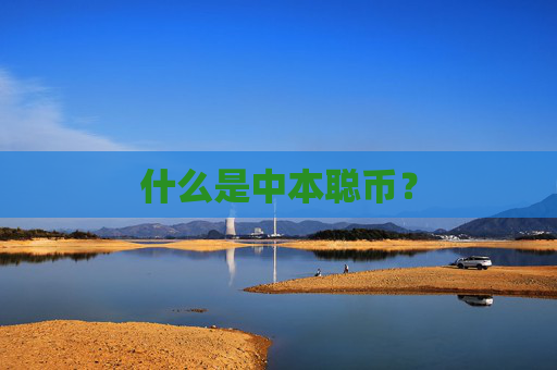 什么是中本聪币？