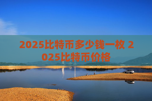 2025比特币多少钱一枚 2025比特币价格