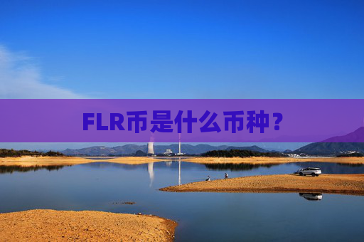 FLR币是什么币种？