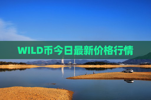 WILD币今日最新价格行情