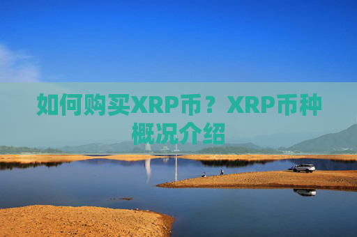 如何购买XRP币？XRP币种概况介绍