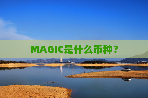 MAGIC是什么币种？
