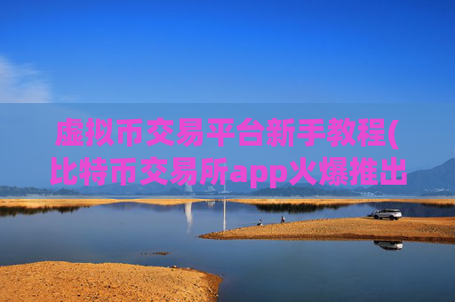 虚拟币交易平台新手教程(比特币交易所app火爆推出)