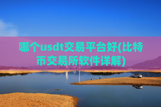 哪个usdt交易平台好(比特币交易所软件详解)