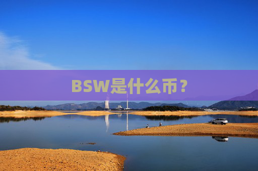 BSW是什么币？