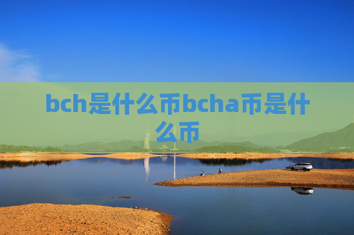 bch是什么币bcha币是什么币