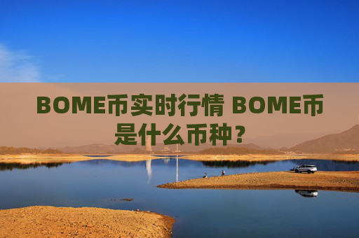 BOME币实时行情 BOME币是什么币种？