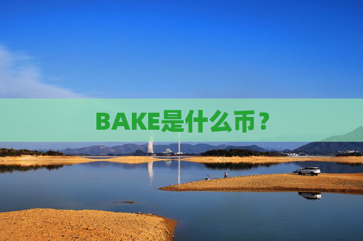 BAKE是什么币？