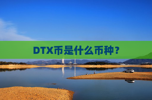 DTX币是什么币种？