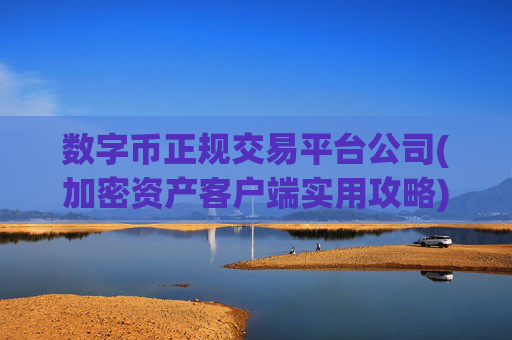 数字币正规交易平台公司(加密资产客户端实用攻略)