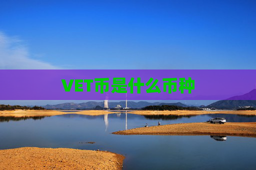 VET币是什么币种