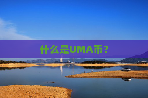什么是UMA币?