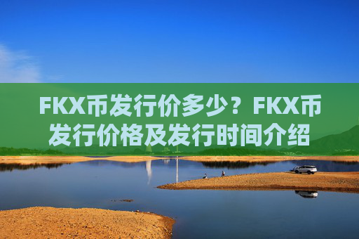FKX币发行价多少?FKX币发行价格及发行时间介绍