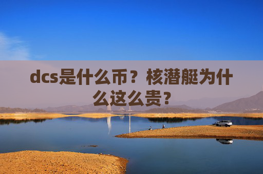dcs是什么币？核潜艇为什么这么贵？