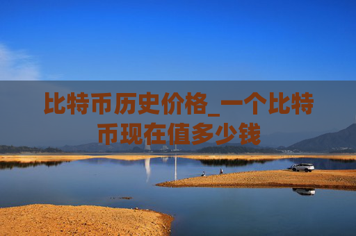 比特币历史价格_一个比特币现在值多少钱