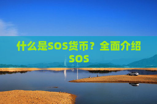 什么是SOS货币？全面介绍SOS