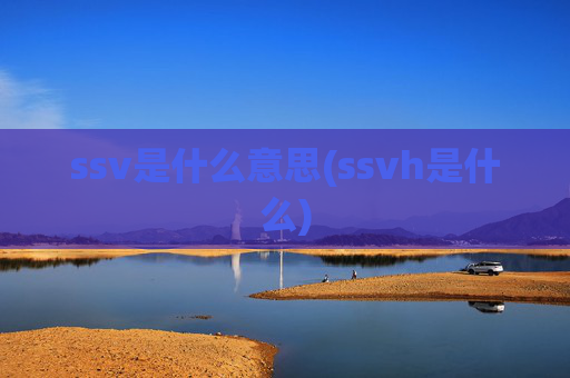 ssv是什么意思(ssvh是什么)