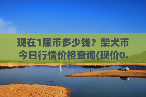 现在1屎币多少钱？柴犬币今日行情价格查询(现价0.00016373元)