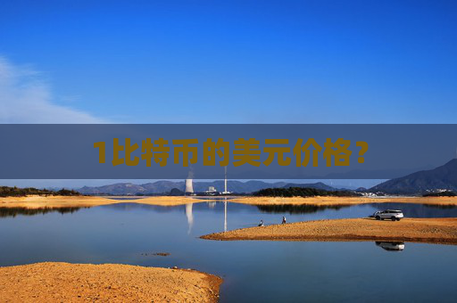 1比特币的美元价格？