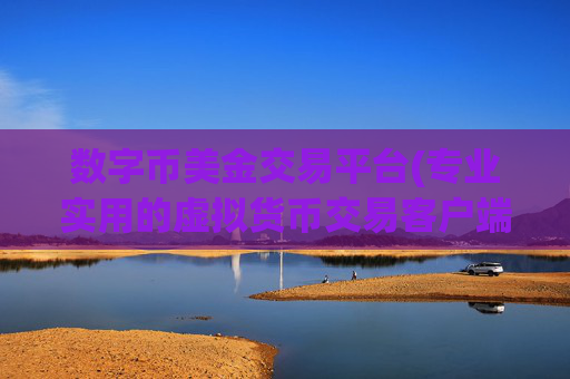数字币美金交易平台(专业实用的虚拟货币交易客户端)