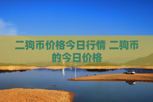 二狗币价格今日行情 二狗币的今日价格