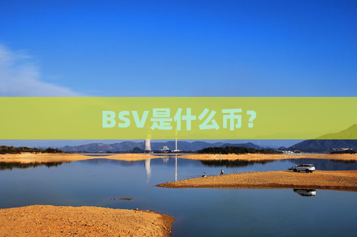 BSV是什么币？
