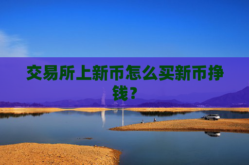 交易所上新币怎么买新币挣钱？