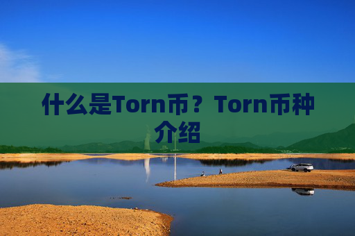 什么是Torn币？Torn币种介绍