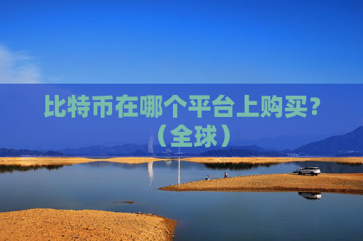 比特币在哪个平台上购买？（全球）