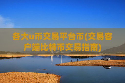 各大u币交易平台币(交易客户端比特币交易指南)