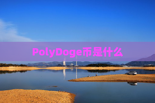 PolyDoge币是什么