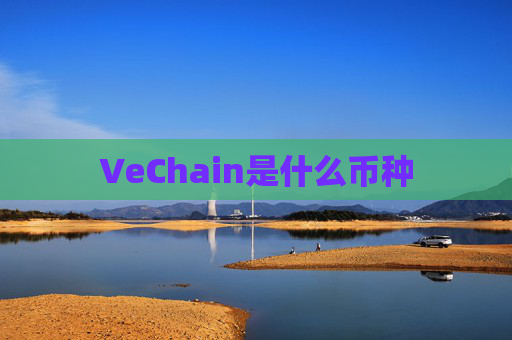 VeChain是什么币种