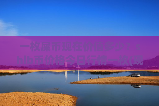 一枚屎币现在价值多少？shib币价格今日行情一枚(现价0.00016259元)