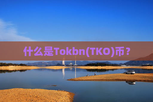 什么是Tokbn(TKO)币？