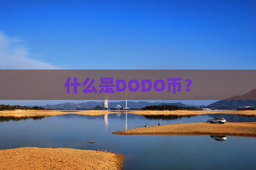什么是DODO币？