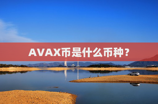 AVAX币是什么币种？