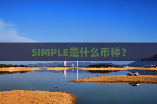 SIMPLE是什么币种？