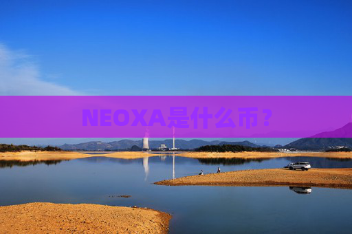 NEOXA是什么币？