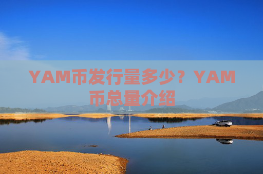YAM币发行量多少？YAM币总量介绍